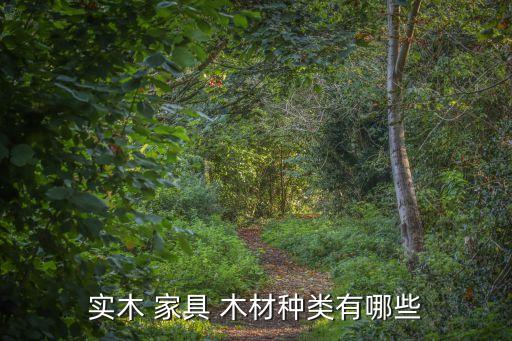 實木 家具 木材種類有哪些