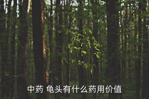 龜頭子,四川話:龜兒子偷了一條命比喻亂倫生