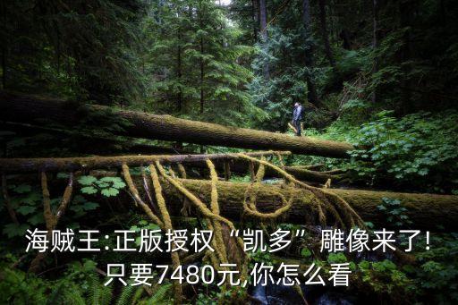 海賊王:正版授權(quán)“凱多”雕像來了!只要7480元,你怎么看
