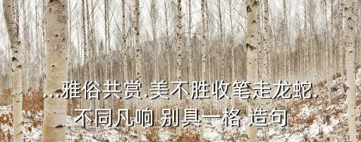 ...雅俗共賞.美不勝收筆走龍蛇.不同凡響 別具一格 造句