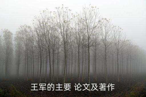 商法論文,電子商務法律制度挑戰與對策研究報告