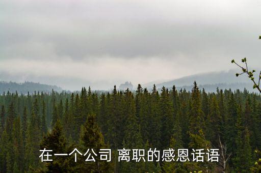 在一個公司 離職的感恩話語