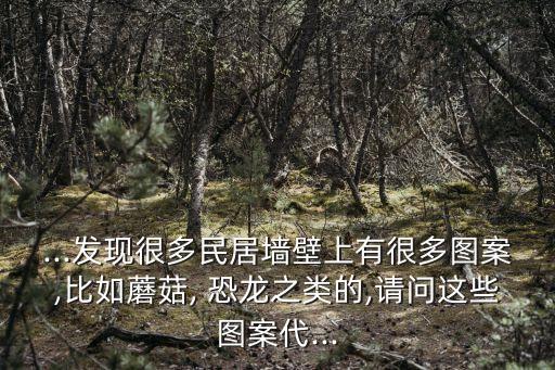 ...發現很多民居墻壁上有很多圖案,比如蘑菇, 恐龍之類的,請問這些圖案代...