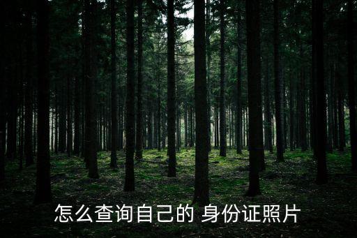 怎么查詢自己的 身份證照片