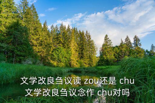文學(xué)改良芻議讀 zou還是 chu文學(xué)改良芻議念作 chu對(duì)嗎