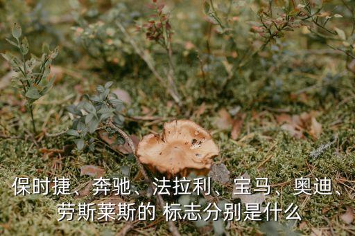 勞斯萊斯標志圖片,勞斯萊斯幻影汽車標志變身裝飾物?