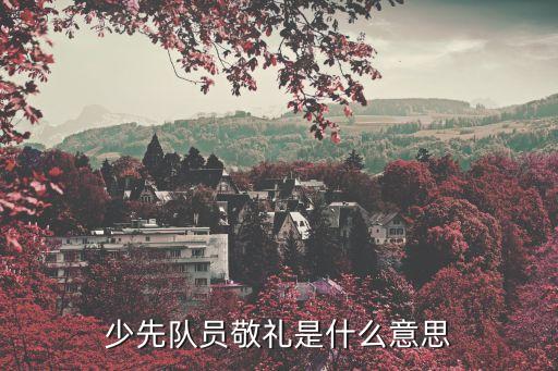 少先隊(duì)員敬禮，少先隊(duì)隊(duì)禮表示什么