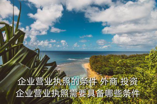  企業(yè)營業(yè)執(zhí)照的條件 外商 投資 企業(yè)營業(yè)執(zhí)照需要具備哪些條件
