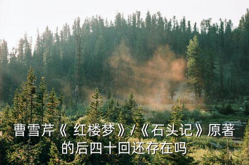 紅樓夢后40回真跡出土,紅樓夢后40回為什么丟失?