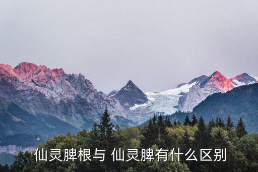  仙靈脾根與 仙靈脾有什么區(qū)別