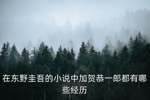 賀恭，在東野圭吾的小說中加賀恭一郎都有哪些經歷