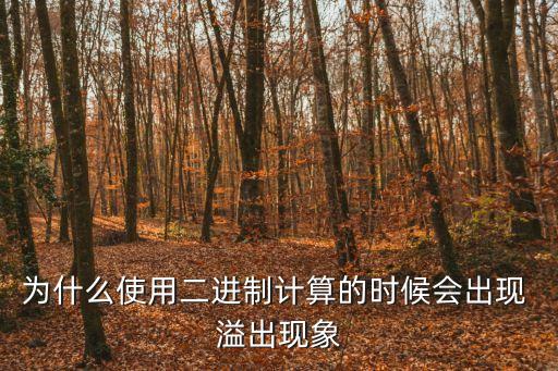 溢出,什么是數據溢出?一起來看看!