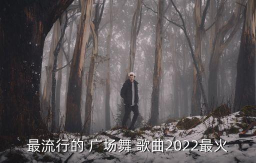 廣場舞經典歌曲,最火廣場舞歌曲:《走進新時代》