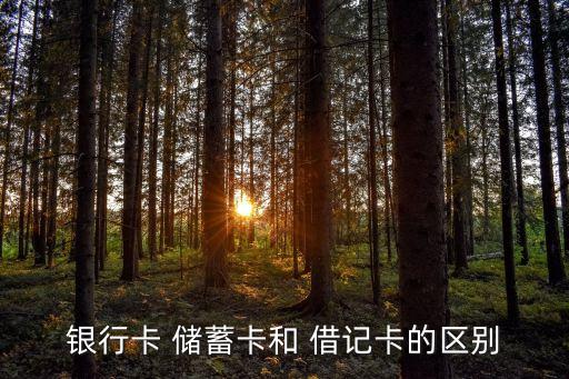 銀行卡 儲蓄卡和 借記卡的區別
