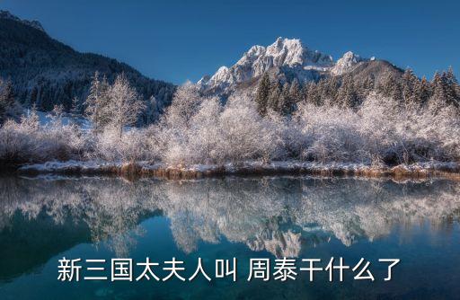 周泰,《殺三國》卡組:周泰出道九江