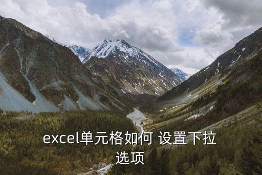 excel如何設(shè)置下拉選項(xiàng),插入下拉列表對(duì)話框