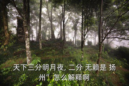 天下三分明月夜, 二分 無(wú)賴是 揚(yáng)州”怎么解釋啊