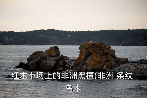 條紋烏木,烏梅屬柿科，條紋烏木屬柿科
