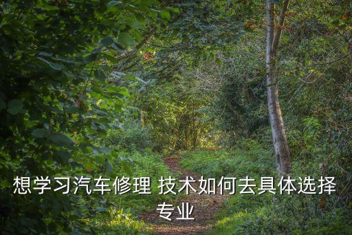想學習汽車修理 技術如何去具體選擇專業