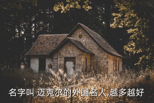 邁克爾凱恩,邁克·戴爾商業(yè)巨子美國流行天王:越多越好