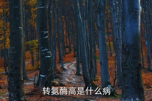 肝轉(zhuǎn)氨酶高,肝受損可能出現(xiàn)轉(zhuǎn)氨酶升高
