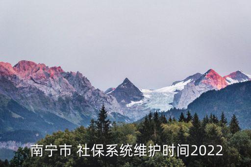 南寧市社保查詢,南寧養老保險怎么查?