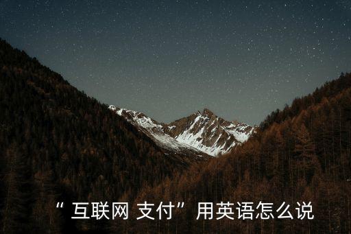 “ 互聯網 支付”用英語怎么說