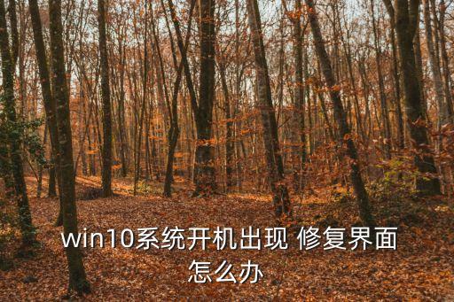  win10系統(tǒng)開機出現(xiàn) 修復(fù)界面怎么辦
