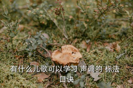 聲調的標法口訣,漢語拼音聲調有何不同?