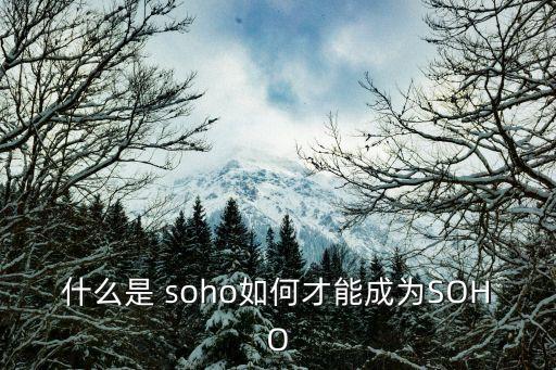 soho族,soho族一詞誕生?