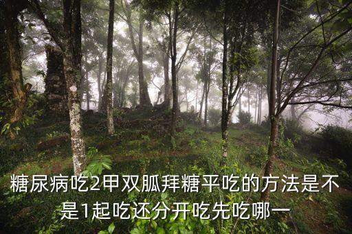 糖尿病吃2甲雙胍拜糖平吃的方法是不是1起吃還分開吃先吃哪一