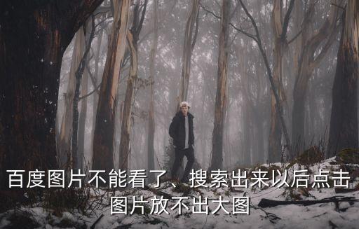 不能看的圖片,關閉瀏覽器過濾功能后需清空緩存文件