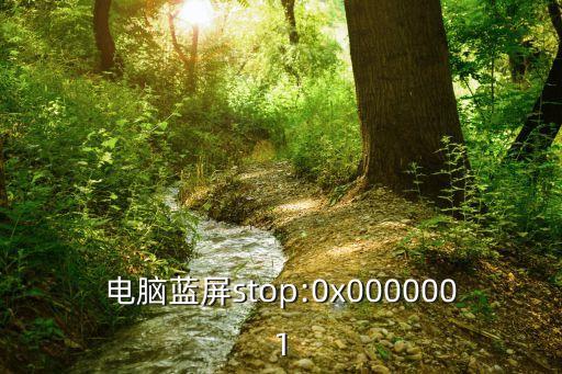 電腦藍屏stop:0x0000001