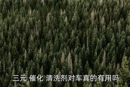  三元 催化 清洗劑對車真的有用嗎