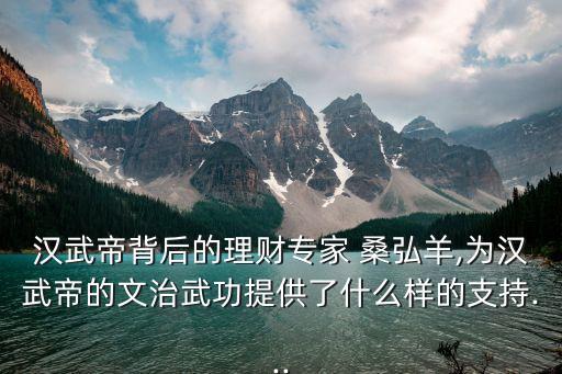 漢武帝背后的理財(cái)專(zhuān)家 桑弘羊,為漢武帝的文治武功提供了什么樣的支持...