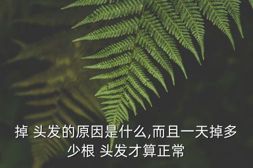 掉 頭發(fā)的原因是什么,而且一天掉多少根 頭發(fā)才算正常