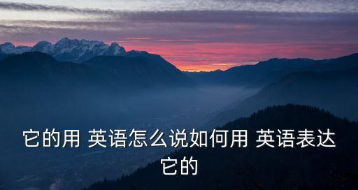 它的用 英語怎么說如何用 英語表達(dá)它的