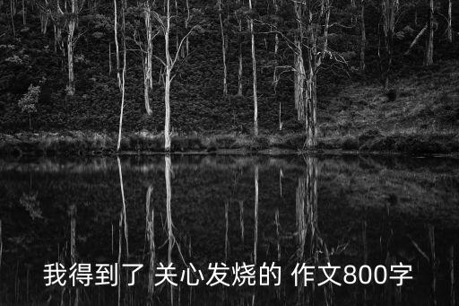 我得到了關心作文,我得到了關心作文120120字