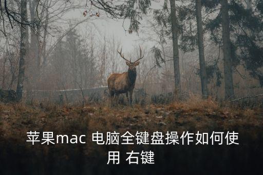 蘋果電腦右鍵怎么按,點擊觸摸板打開右鍵菜單首先打開電腦