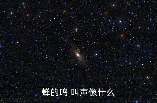蟬的鳴 叫聲像什么