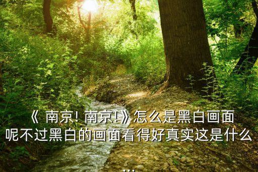 南京南京影評,看完電影《南京!南京!》影評要完全自編
