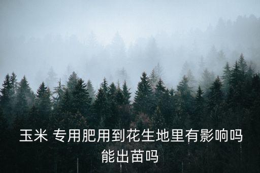  玉米 專(zhuān)用肥用到花生地里有影響嗎能出苗嗎