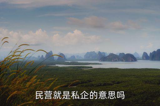 民企,民營企業是私企嗎?