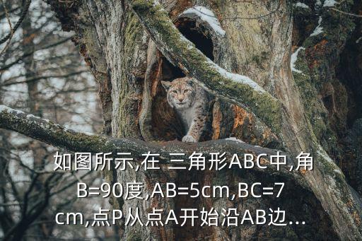 如圖在三角形abc中,三角形abcabc的邊界