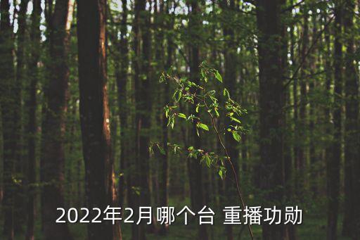 2022年2月哪個臺 重播功勛