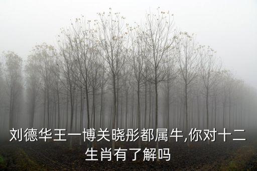 牛起來,韓式炸醬排骨蝦零失敗教你做