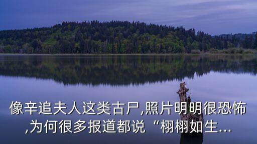 濕尸,腐尸和干尸比起來僵尸更逼真!