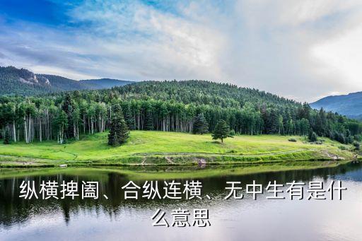  縱橫捭闔、合縱連橫、無中生有是什么意思