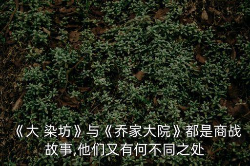 《大 染坊》與《喬家大院》都是商戰(zhàn)故事,他們又有何不同之處