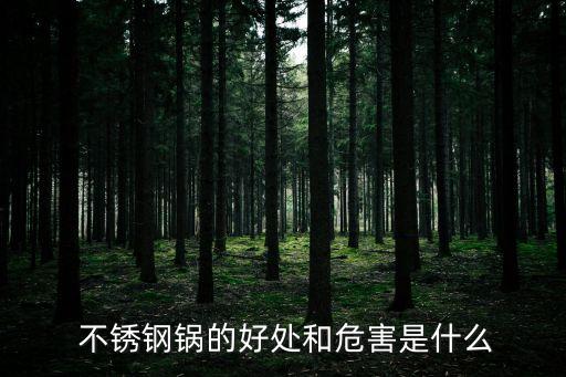 不銹鋼反應鍋,304不銹鋼鍋的優缺點